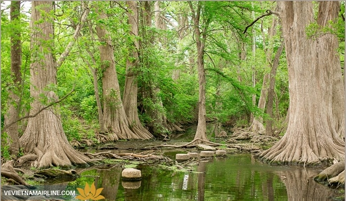 Trung tâm Tự nhiên Dallas